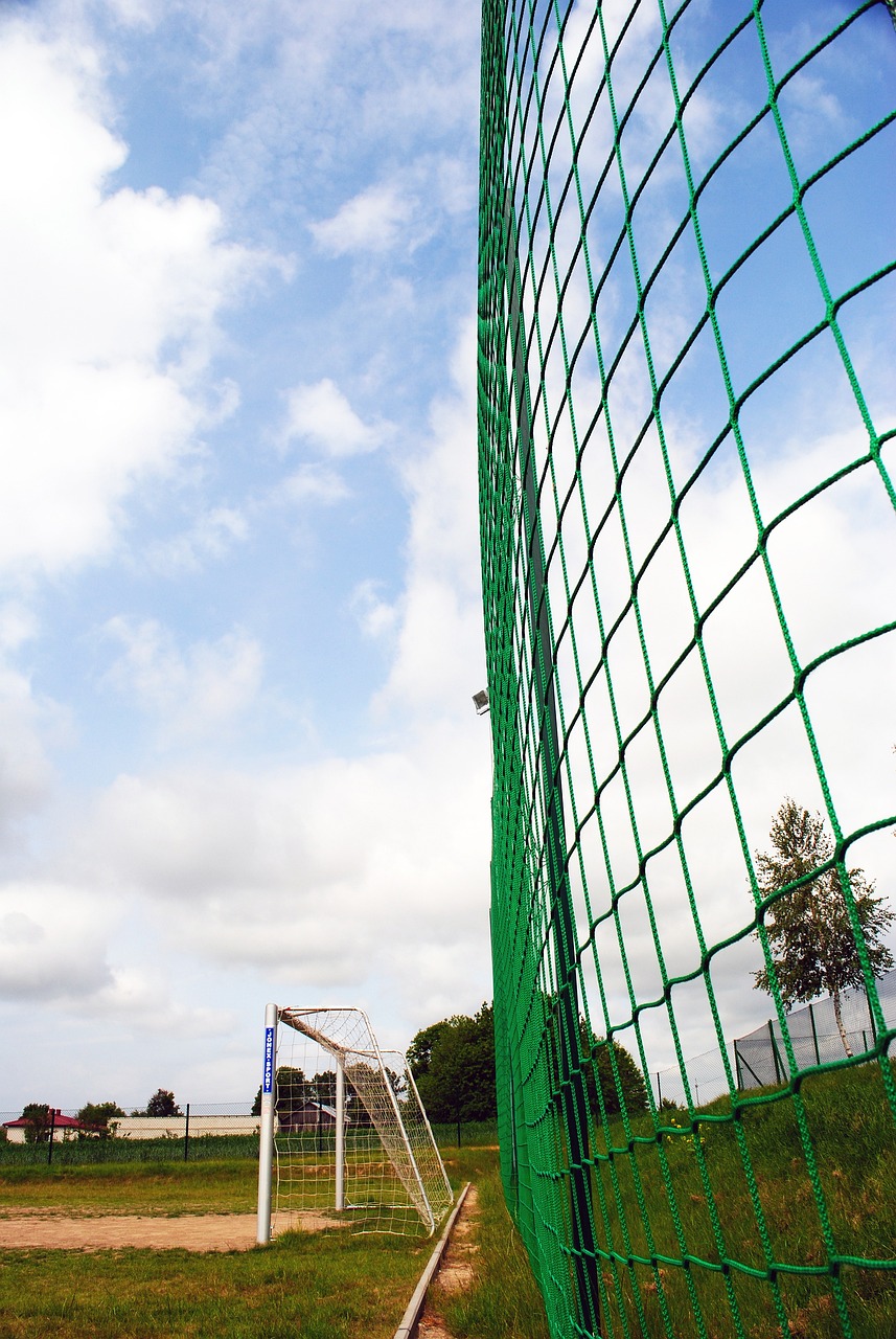 他在球场上 他在球场上