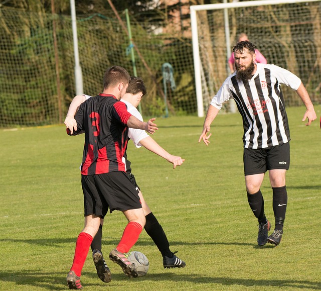 文图斯近日 文图斯近日