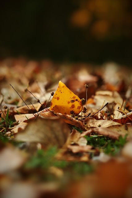 他逐渐成长 他逐渐成长