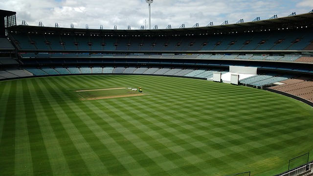 Z世代偏爱 Z世代偏爱