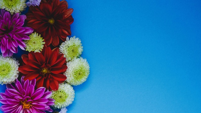 富安健洋在 富安健洋在